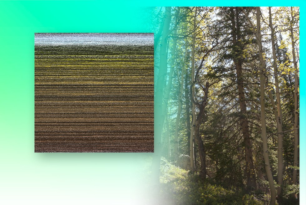 From Mark Dorf's series Emergence