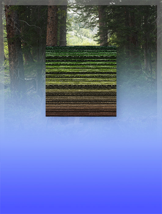 From Mark Dorf's series Emergence